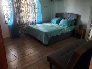 ArimaMango Vert Apartment的一间卧室配有一张带蓝色枕头的床