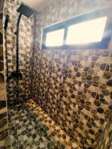TemaeMOOREA - O Motu的带淋浴的浴室和窗户。