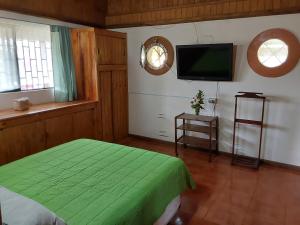 安加罗阿Te Ra'a Travel - Cabaña equipada的一间卧室配有绿色的床和一台平面电视