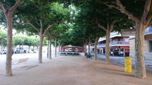 桑特费柳德吉克索尔斯Hostal Noray的一条树成荫的街道,一条长凳和一座建筑