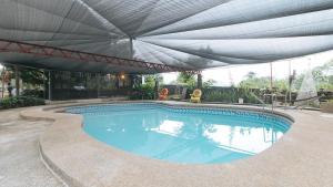 RizalRedDoorz @ Cristina's Hideaway Resort Tanay的游泳池上设有遮阳伞