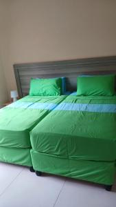 马埃岛贝拉扎尔区Beau Bassin Inn的一张绿色大床,配有绿色床单和枕头