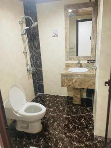 Al Nairyah沙漠棕榈公寓式酒店的一间带卫生间和水槽的浴室