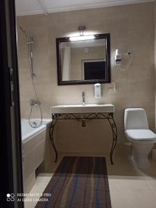 比尔戈罗德-德尼斯特罗夫西基ЭкоДом的一间带水槽、卫生间和镜子的浴室