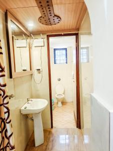 卡兰古特Shradha luxury room的一间带水槽和卫生间的浴室
