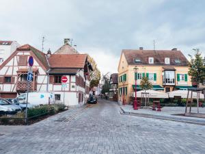 希尔蒂盖姆Liberté · Magnifique maison proche Strasbourg的一座有建筑的小镇上一条鹅卵石街道