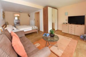 圣加伦基希青特公寓的客厅配有沙发和1张床
