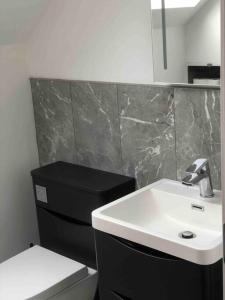 赫里福德Lakeside Loft的浴室配有白色水槽和卫生间。