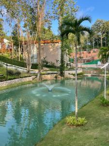 普吉镇Villa Menara Bang Tao的水池里有一棵棕榈树