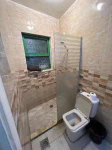 安曼Downtown Hawaa Amman Hotel的一间带卫生间和淋浴的浴室以及窗户。