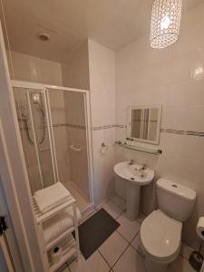 科尔雷恩New Lisnagalt Lodge的浴室配有卫生间、淋浴和盥洗盆。