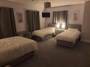 科尔雷恩New Lisnagalt Lodge的酒店客房设有两张床和电视。