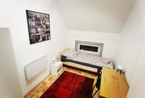 奥西耶克Privatni Smještaj Harmony的一间小卧室,配有一张床和红色地毯