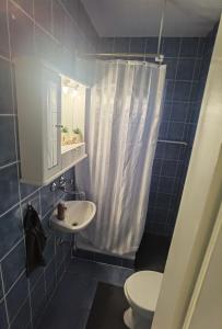 奥西耶克Privatni Smještaj Harmony的蓝色瓷砖浴室设有水槽和卫生间