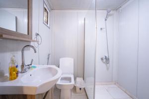 瓦迪拉姆迎宾沙漠营地酒店的一间带水槽、卫生间和淋浴的浴室