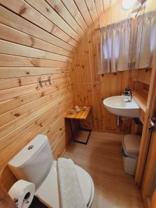 帕科坦MALI NORDSEE Mobilehomes & Glamping的浴室配有白色卫生间和盥洗盆。