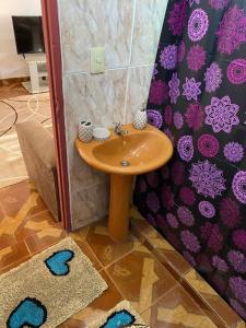 伊瓜苏港Leosan departamento的浴室设有小水槽和淋浴帘