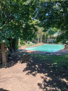 彼得马里茨堡Fairfield Guest House的树园里的一个空游泳池