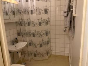 LohjaStudiohuoneisto Lohja keskusta的浴室配有带水槽的浴帘
