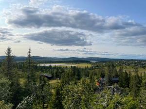 MesnaliHytte med Anneks og fantastisk utsikt på Ljøsheim的树木和房屋的田野的空中景观