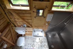 陶因Snowdonia Hideaway的享有带水槽和卫生间的浴室的顶部景致。