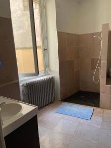 穆兰Les chambres de Juliette的带淋浴和盥洗盆的浴室以及窗户。