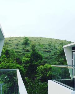瓦加蒙Dellamore Havn的享有绿色山丘的景色。