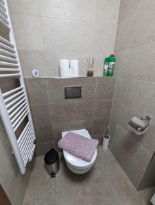StachyZadov - Apartmán Srdce Šumavy的浴室设有卫生间,配有粉红色毛巾