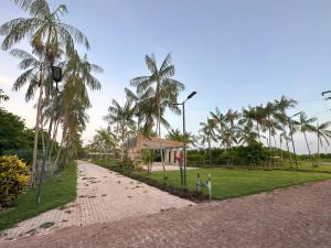 博阿维斯塔Villa'S Roraima - Pousada & Natureza的一条土路,上面有棕榈树和建筑