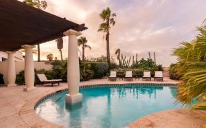 棕榈滩豪华海景太阳之地别墅的一个带椅子的游泳池,棕榈树