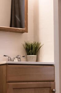 旧金山Pyramid Nightly Stays的浴室水槽,配有镜子和盆栽植物