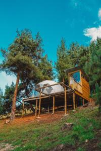 苏埃斯卡Alma de Campo Glamping - Laguna de Suesca的平台上带有屋顶的树屋