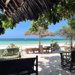 吉汶瓦Sipano Beach Lodge Kiwengwa的海滩上设有桌椅,大海上设有沙滩