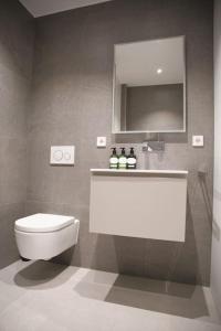 卢森堡Beautiful Stylish 2BR Apartment in Kirchberg的一间带卫生间、水槽和镜子的浴室