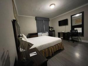 伦敦Travelodge by Wyndham London Ontario的配有一张床和一张书桌的酒店客房
