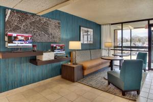 埃德蒙逊圣路易斯机场梨树酒店的一间配备有沙发及电视的酒店客房
