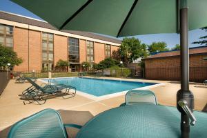 埃德蒙逊圣路易斯机场梨树酒店的一个带椅子和遮阳伞的游泳池