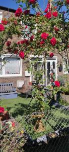 伦敦Richmond London 2 bed room Appartement的一座有红玫瑰和栅栏的树的房子