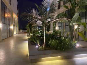 苏塞luxe et confort appartement Sahloul 4的一座在晚上在建筑中种满棕榈树的庭院