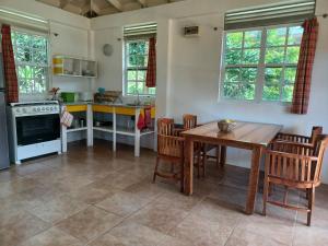 TanetaneMango Garden Cottages的厨房配有木桌、椅子、桌子和炉灶。