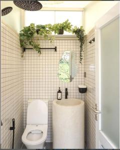 万隆Over Easy Glamping Site的浴室设有卫生间和植物水槽。