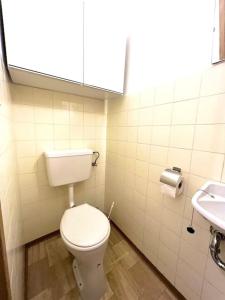格蒙登Ferienwohnung zum Wohlfühlen的浴室配有白色卫生间和盥洗盆。