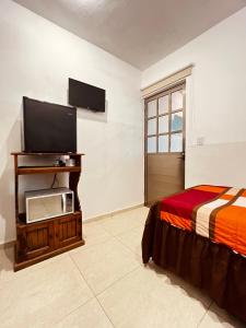 梅里达Habitación independiente al Norte de Mérida的一间卧室配有一张床和一台平面电视