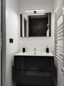Logement-Barry entre Tarbes et Lourdes的一间带水槽和镜子的浴室