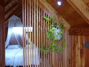 奥克泰港Tiny House Camino a Cascadas, Lago Llanquihue的挂在木墙上的盆栽植物