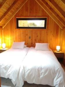奥克泰港Tiny House Camino a Cascadas, Lago Llanquihue的一间卧室设有两张白色的床和窗户