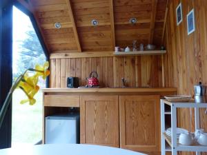 奥克泰港Tiny House Camino a Cascadas, Lago Llanquihue的一个带木制橱柜的厨房和一个大篷车内的盥洗盆