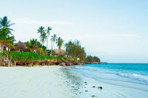 基济姆卡济Mandarin Resort Zanzibar的棕榈树海滩和海洋
