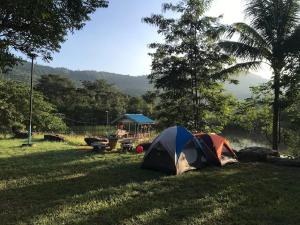 北冲Homtel Farmstay Campgrounds的一群帐篷位于田野,设有游乐场