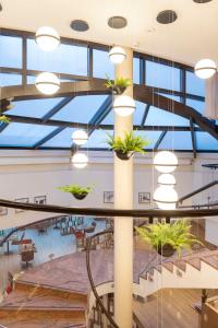 日内瓦NH日内瓦机场酒店的大型大堂设有玻璃天花板和盆栽植物